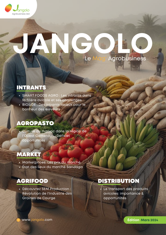 Jangolo Mag | mars 2024