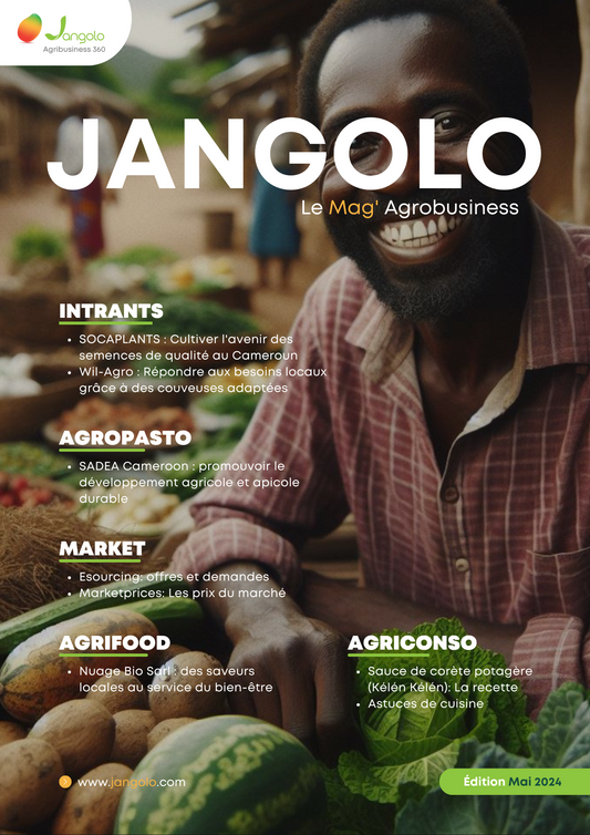 Jangolo Mag | mai 2024
